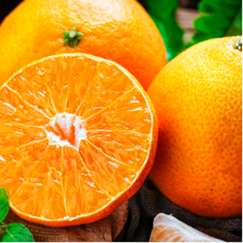 柑橘类水果自动分拣